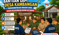 Bantuan Sapi Desa Kambangan Terverifikasi Masih Ada, Akan Dilaporkan Resmi ke Dinas