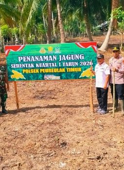 Tanam Jagung Serentak Kuartal I Tahun 2026, Polsek Peureulak Timur Dukung Ketahanan Pangan