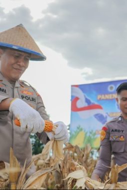 Wakapolda Sulteng Hadiri Panen Raya Nasional, Kapolri: 100 Ton Jagung Diekspor ke Malaysia