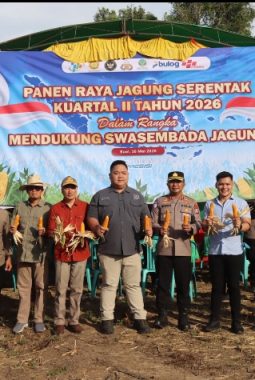 Polres Buol Gelar Panen Raya Jagung, Dukung Ketahanan Pangan Nasional
