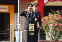 Oplus_16908288