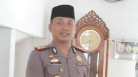 Oplus_16908288